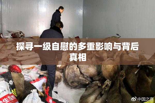 探寻一级自慰的多重影响与背后真相