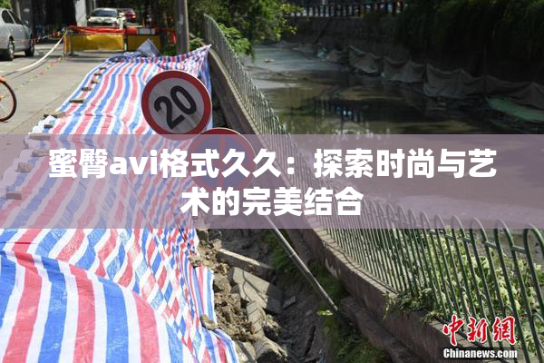 蜜臀avi格式久久：探索时尚与艺术的完美结合