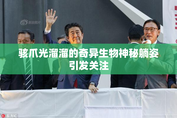 骇爪光溜溜的奇异生物神秘躺姿引发关注