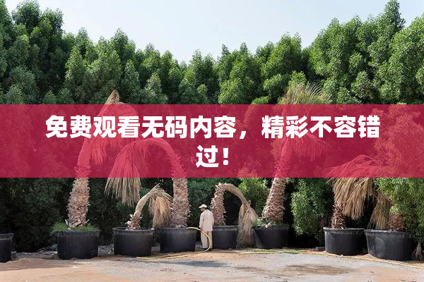 免费观看无码内容，精彩不容错过！