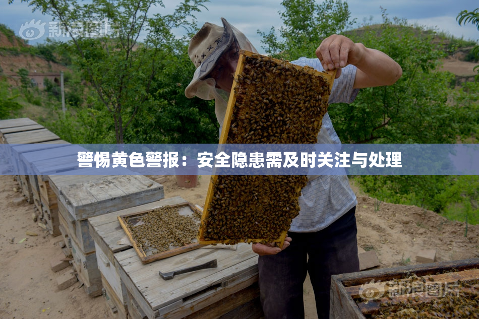 警惕黄色警报：安全隐患需及时关注与处理