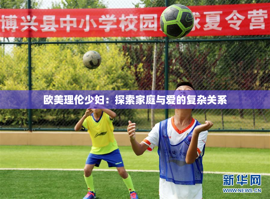欧美理伦少妇：探索家庭与爱的复杂关系