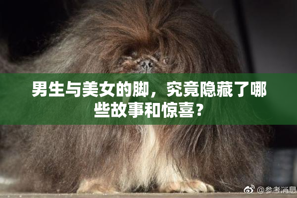 男生与美女的脚，究竟隐藏了哪些故事和惊喜？