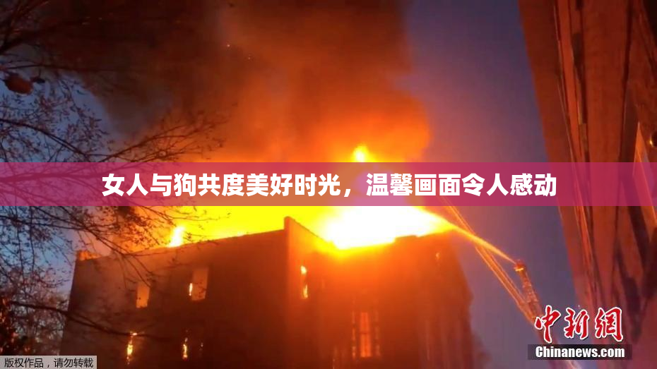 女人与狗共度美好时光，温馨画面令人感动