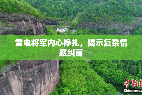 雷电将军内心挣扎，揭示复杂情感纠葛