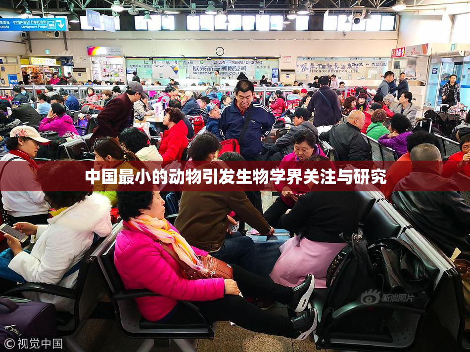 中国最小的动物引发生物学界关注与研究