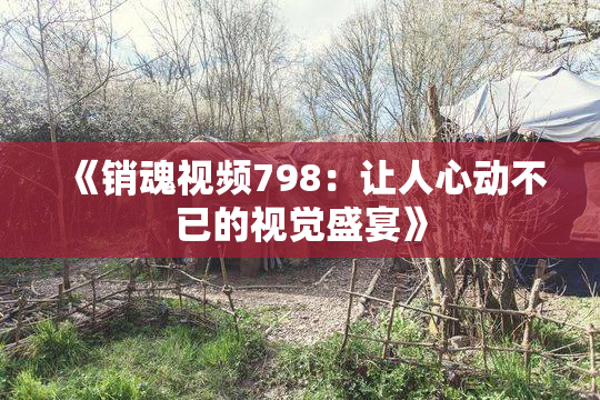 《销魂视频798：让人心动不已的视觉盛宴》
