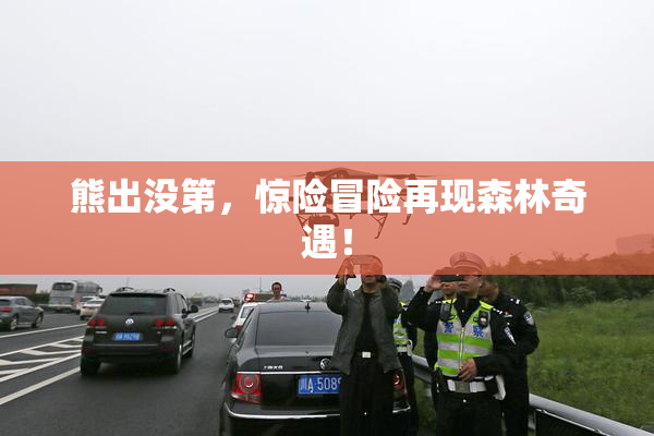 熊出没第，惊险冒险再现森林奇遇！