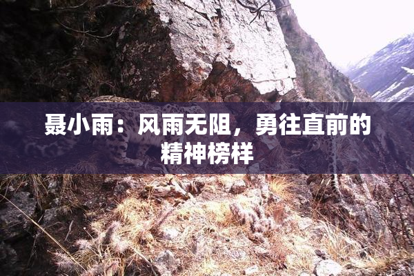 聂小雨：风雨无阻，勇往直前的精神榜样