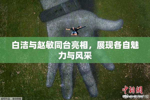 白洁与赵敏同台亮相，展现各自魅力与风采