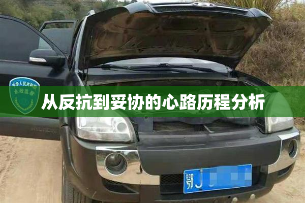 从反抗到妥协的心路历程分析