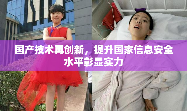 国产技术再创新，提升国家信息安全水平彰显实力