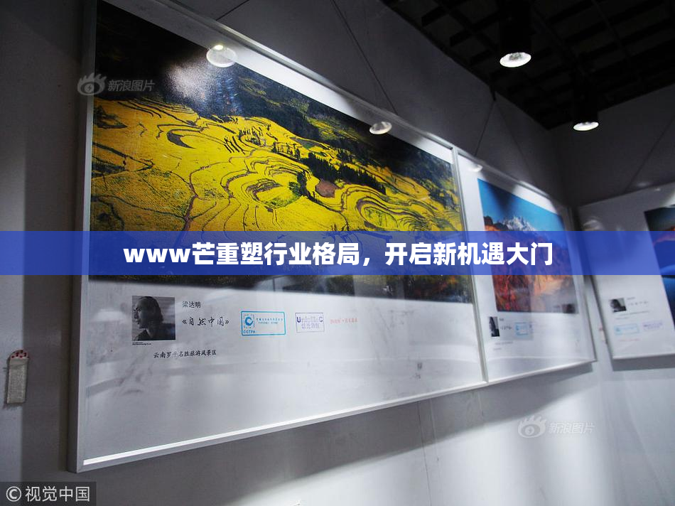 www芒重塑行业格局，开启新机遇大门