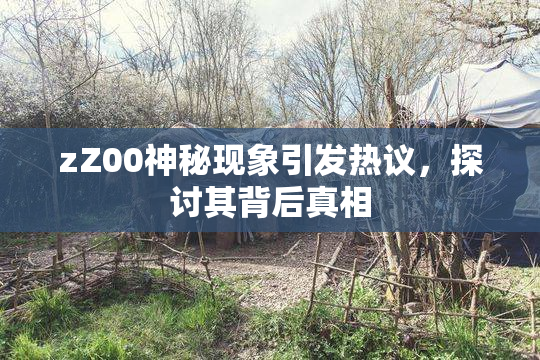 zZ00神秘现象引发热议，探讨其背后真相