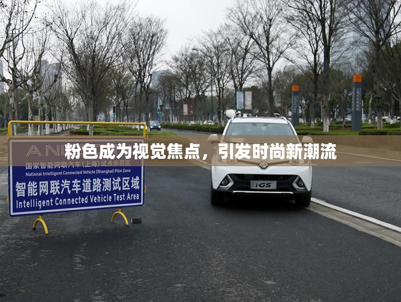 粉色成为视觉焦点，引发时尚新潮流