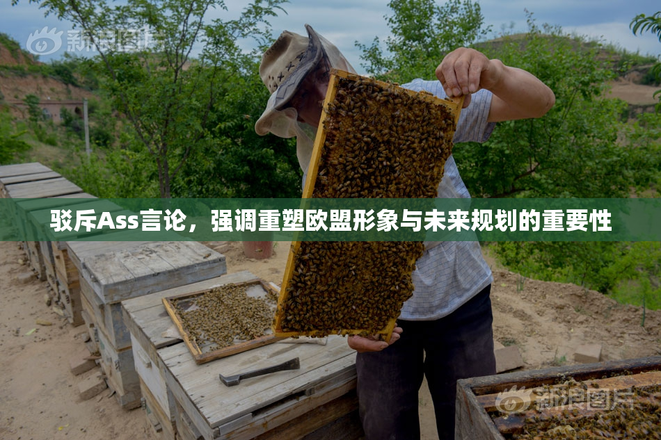驳斥Ass言论，强调重塑欧盟形象与未来规划的重要性