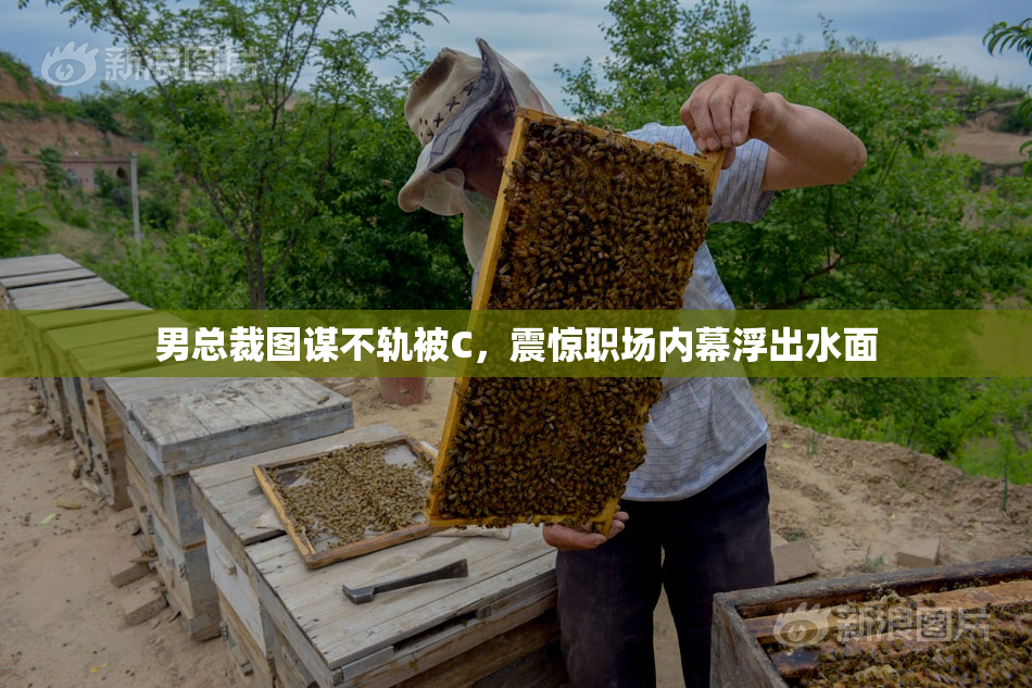 男总裁图谋不轨被C，震惊职场内幕浮出水面