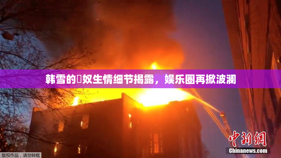韩雪的婬奴生情细节揭露，娱乐圈再掀波澜