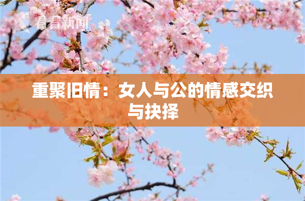 重聚旧情：女人与公的情感交织与抉择