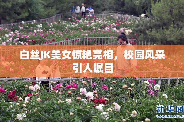 白丝JK美女惊艳亮相，校园风采引人瞩目