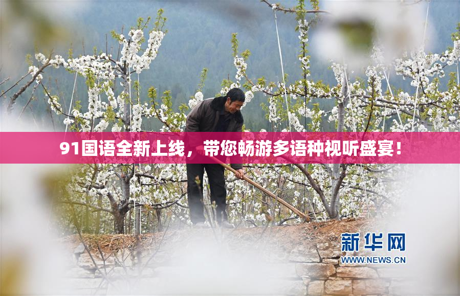 91国语全新上线，带您畅游多语种视听盛宴！