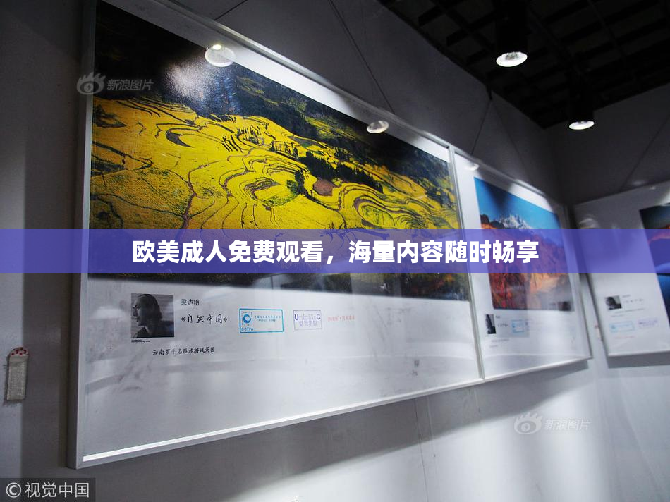 欧美成人免费观看，海量内容随时畅享