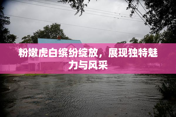 粉嫩虎白缤纷绽放，展现独特魅力与风采
