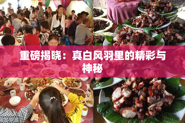 重磅揭晓：真白风羽里的精彩与神秘