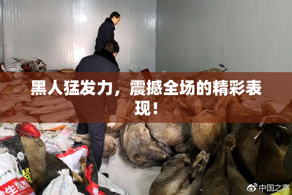 黑人猛发力，震撼全场的精彩表现！