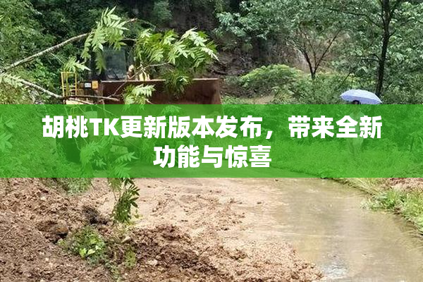 胡桃TK更新版本发布，带来全新功能与惊喜