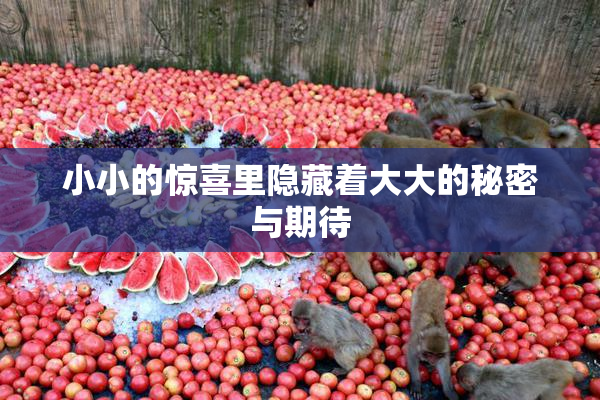 小小的惊喜里隐藏着大大的秘密与期待