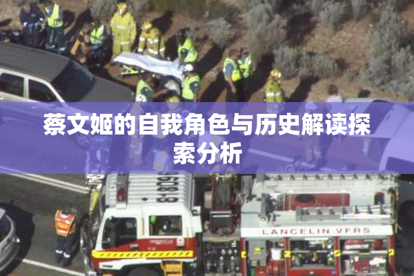 蔡文姬的自我角色与历史解读探索分析