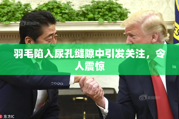 羽毛陷入尿孔缝隙中引发关注，令人震惊