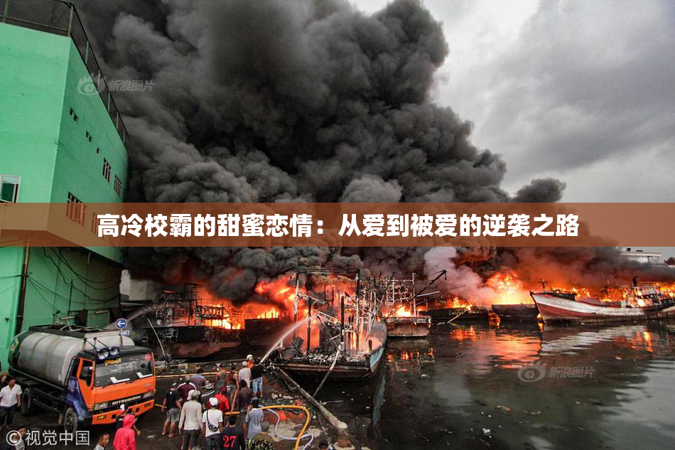 高冷校霸的甜蜜恋情：从爱到被爱的逆袭之路