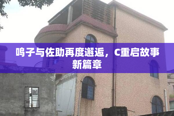 鸣子与佐助再度邂逅，C重启故事新篇章