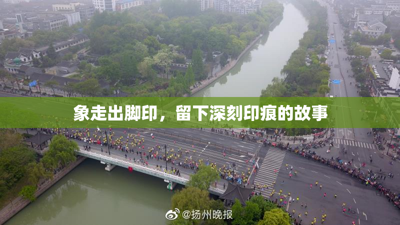 象走出脚印，留下深刻印痕的故事
