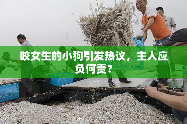 咬女生的小狗引发热议，主人应负何责？