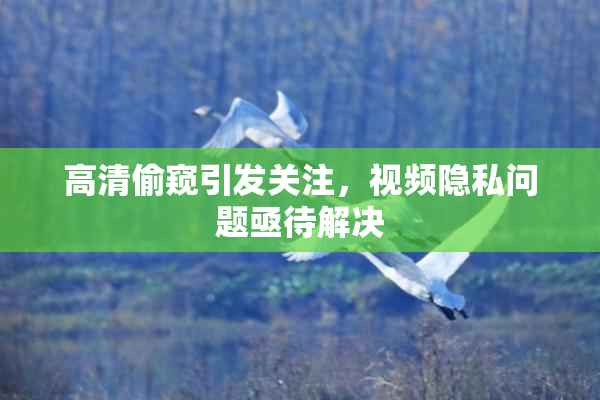 高清偷窥引发关注，视频隐私问题亟待解决
