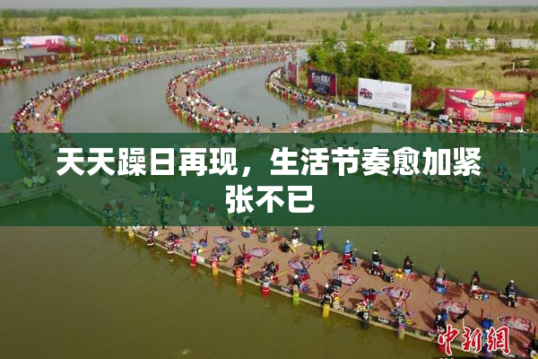 天天躁日再现，生活节奏愈加紧张不已