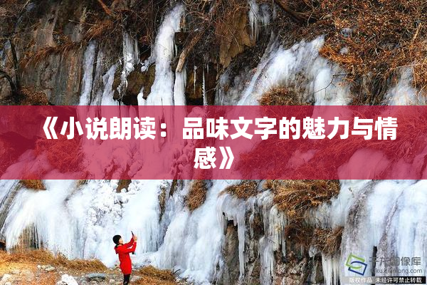 《小说朗读：品味文字的魅力与情感》