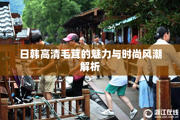 日韩高清毛茸的魅力与时尚风潮解析