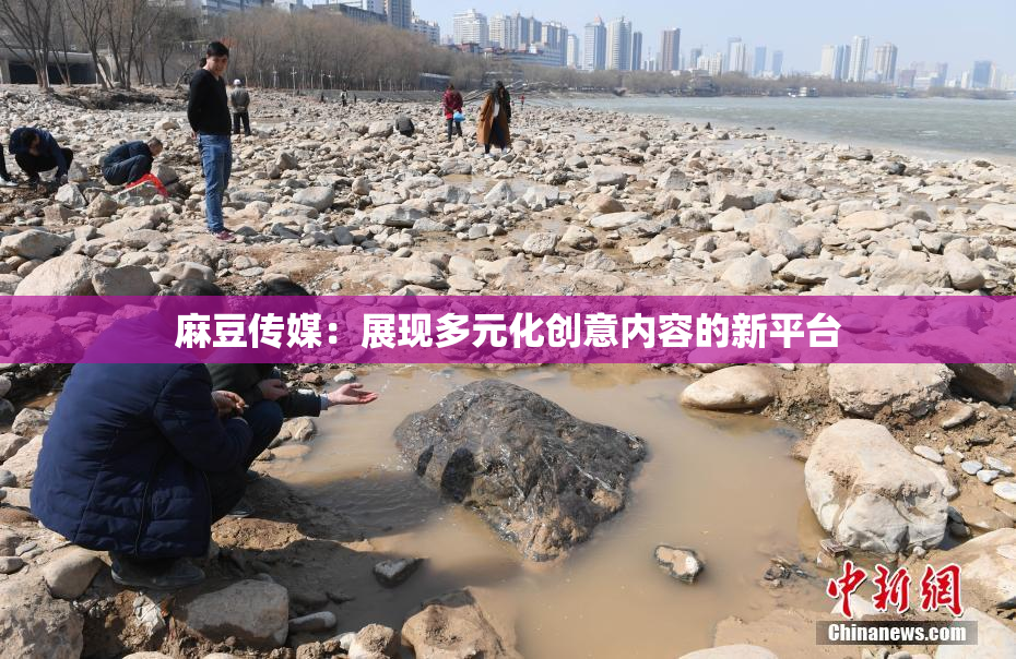 麻豆传媒：展现多元化创意内容的新平台