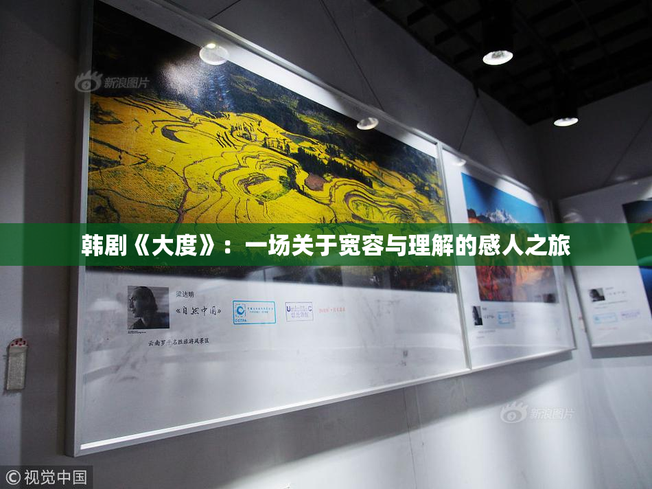 韩剧《大度》：一场关于宽容与理解的感人之旅
