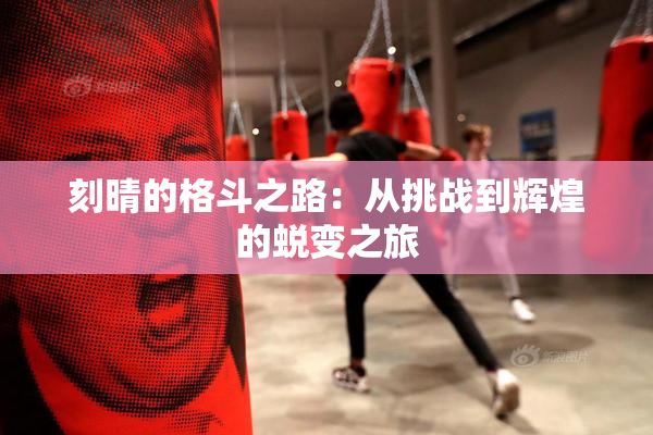 刻晴的格斗之路：从挑战到辉煌的蜕变之旅