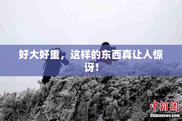 好大好重，这样的东西真让人惊讶！
