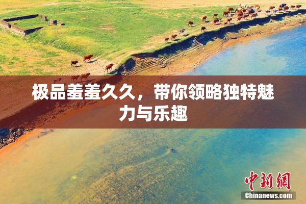 极品羞羞久久，带你领略独特魅力与乐趣