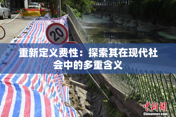 重新定义费性：探索其在现代社会中的多重含义