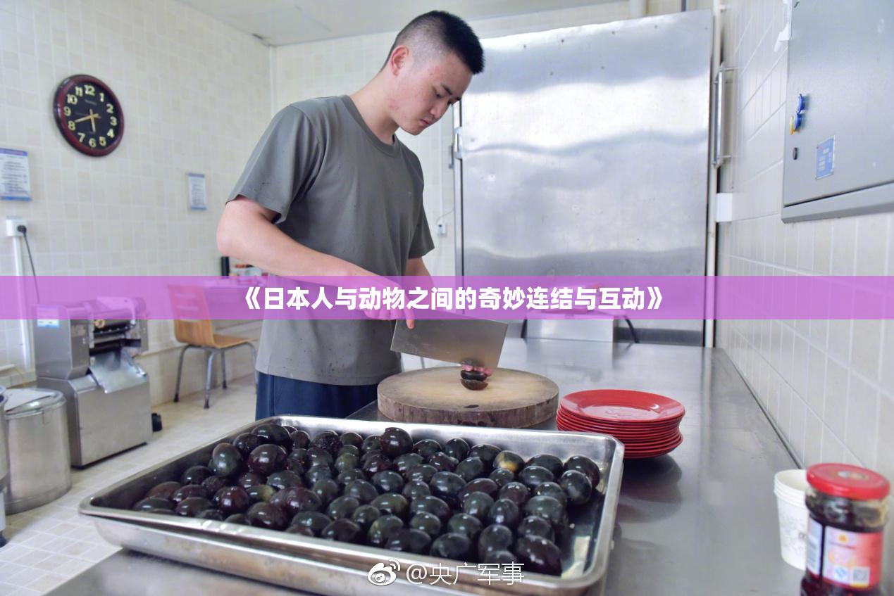 《日本人与动物之间的奇妙连结与互动》
