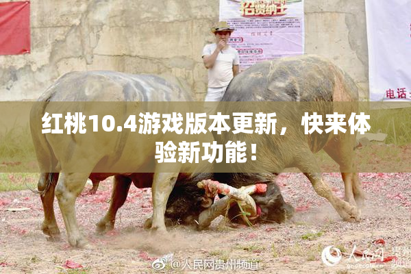 红桃10.4游戏版本更新，快来体验新功能！