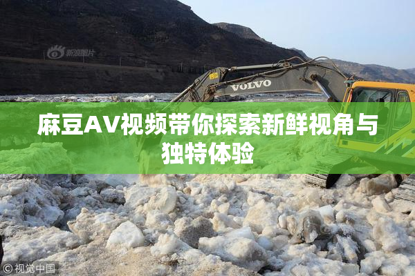 麻豆AV视频带你探索新鲜视角与独特体验